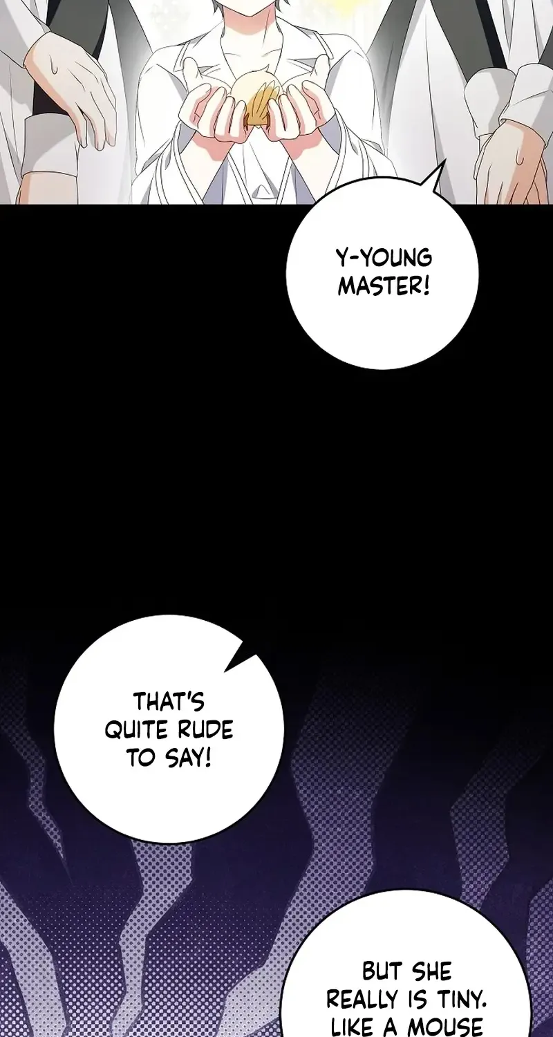 The Beloved New Daughter-in-law Of The Wolf Mansion Zinmanga X Chapter 12 Page 14