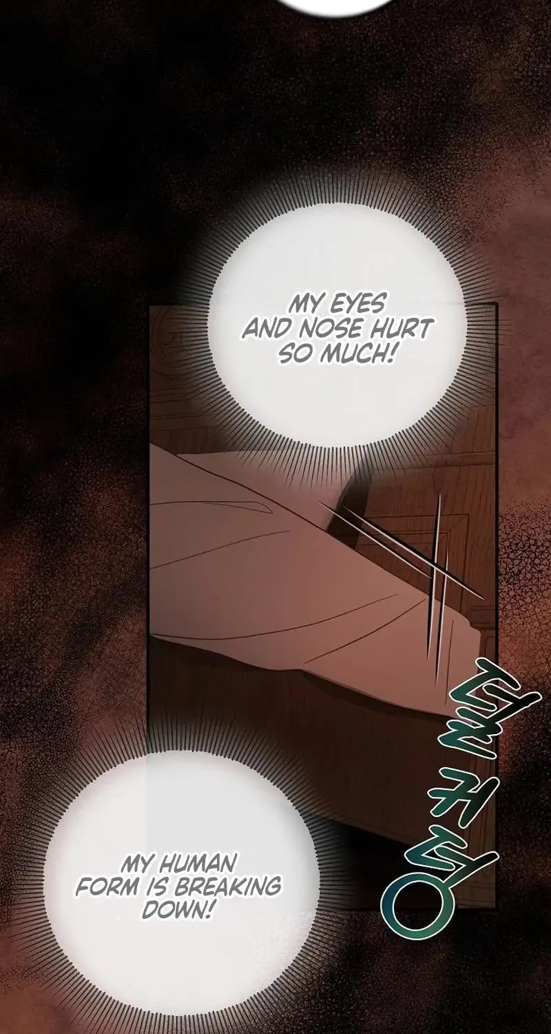 The Beloved New Daughter-in-law Of The Wolf Mansion Zinmanga X Chapter 1 Page 60