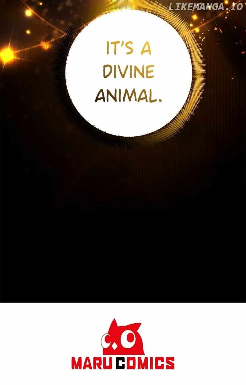 Surviving In An Action Manhwa Zinmanga X Chapter 55 Page 99