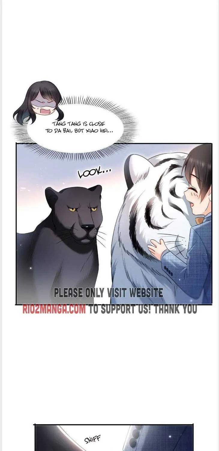 Perfect Secret Love: The Bad New Wife Is A Little Sweet Zinmanga X Chapter 322 Page 8