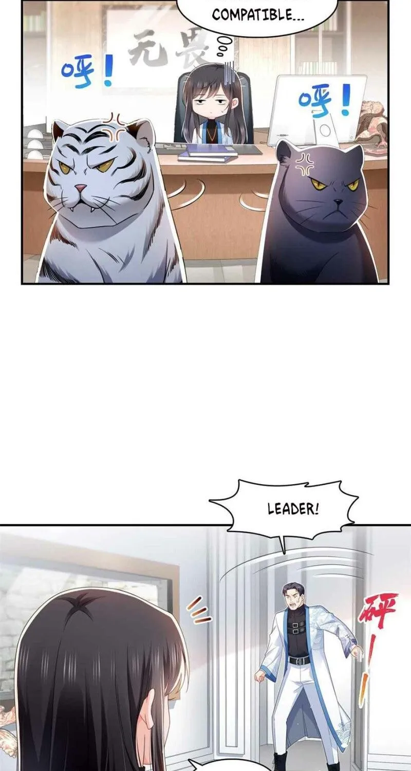 Perfect Secret Love: The Bad New Wife Is A Little Sweet Zinmanga X Chapter 278 Page 31