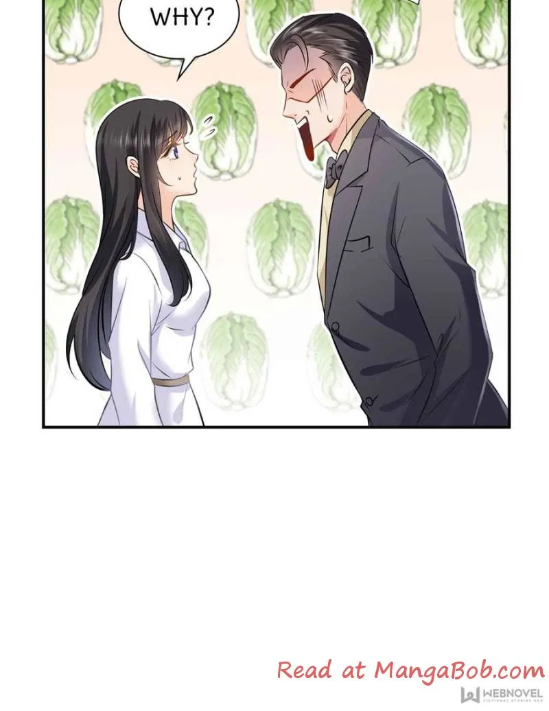 Perfect Secret Love: The Bad New Wife Is A Little Sweet Zinmanga X Chapter 6 Page 43