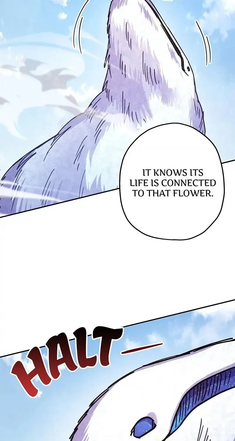 Another Typical Fantasy Romance Zinmanga X Chapter 22 Page 10