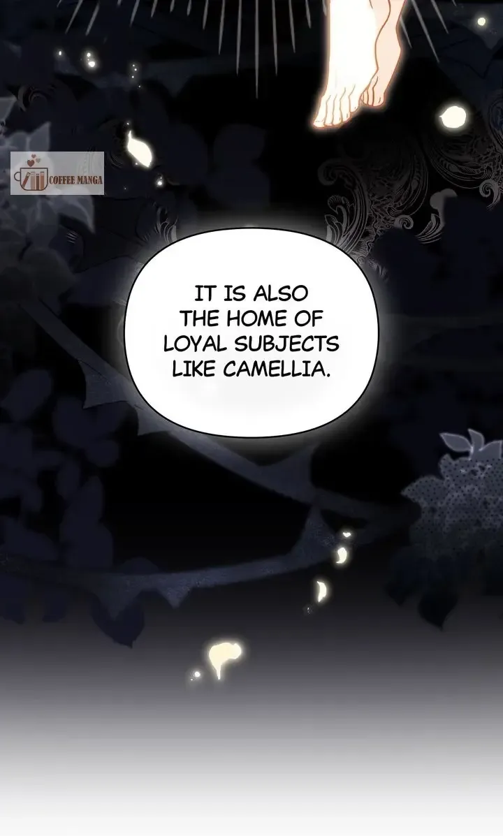 Finding Camellia Zinmanga X Chapter 105 Page 25