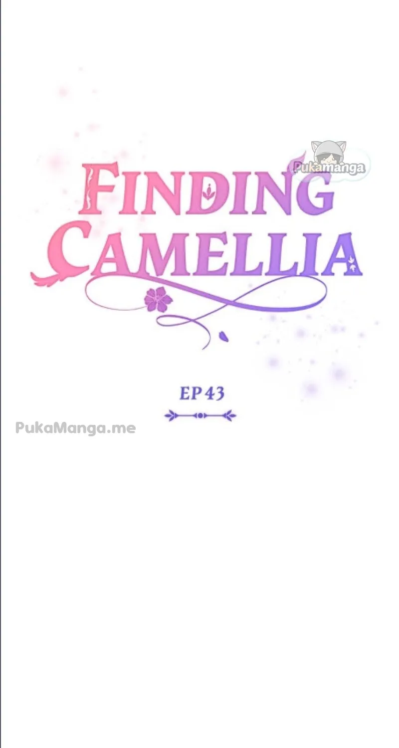 Finding Camellia Zinmanga X Chapter 43 Page 36