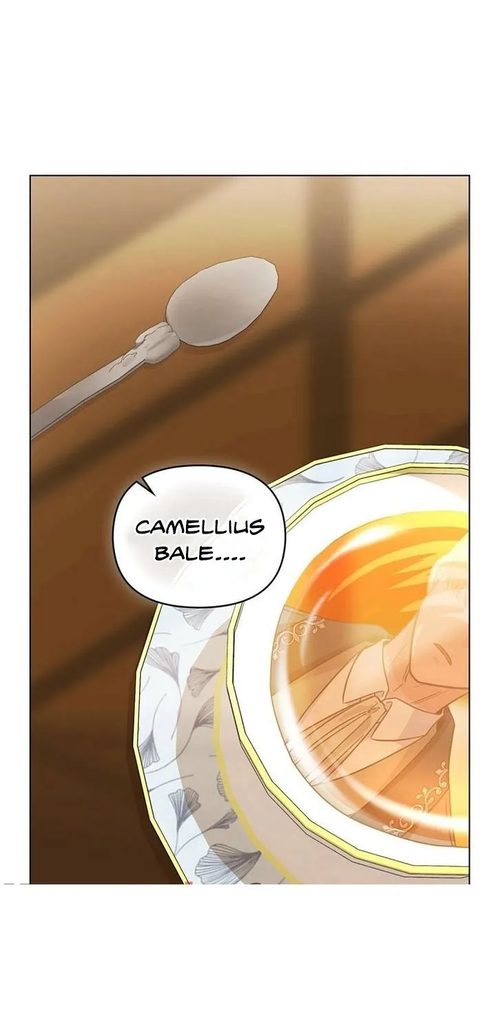Finding Camellia Zinmanga X Chapter 37 Page 35