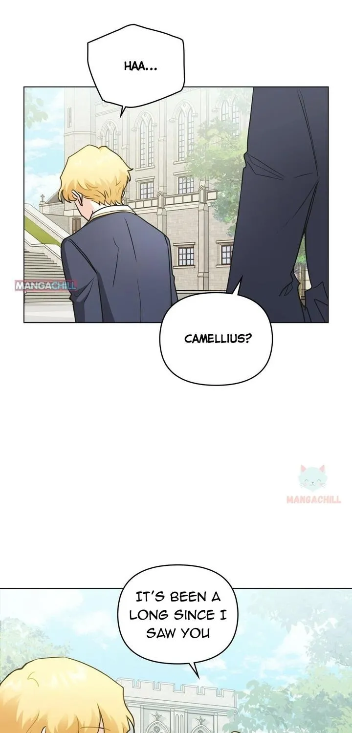 Finding Camellia Zinmanga X Chapter 36 Page 7