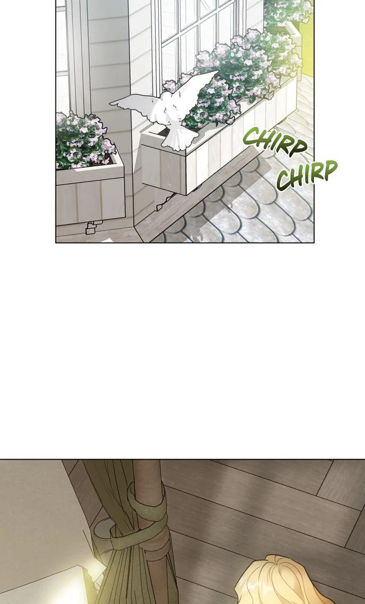 Finding Camellia Zinmanga X Chapter 31 Page 62