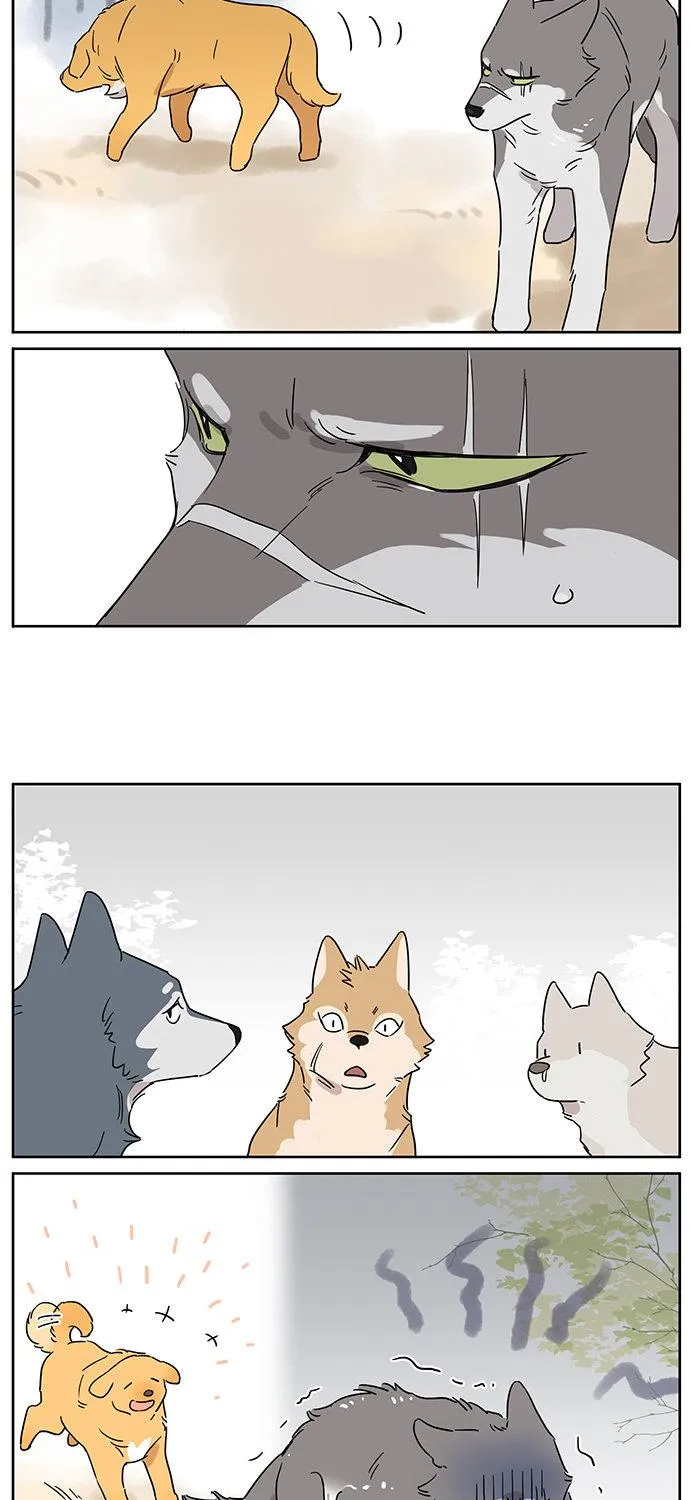 The Wolf That Picked Something Up Zinmanga X Chapter 80 Page 8
