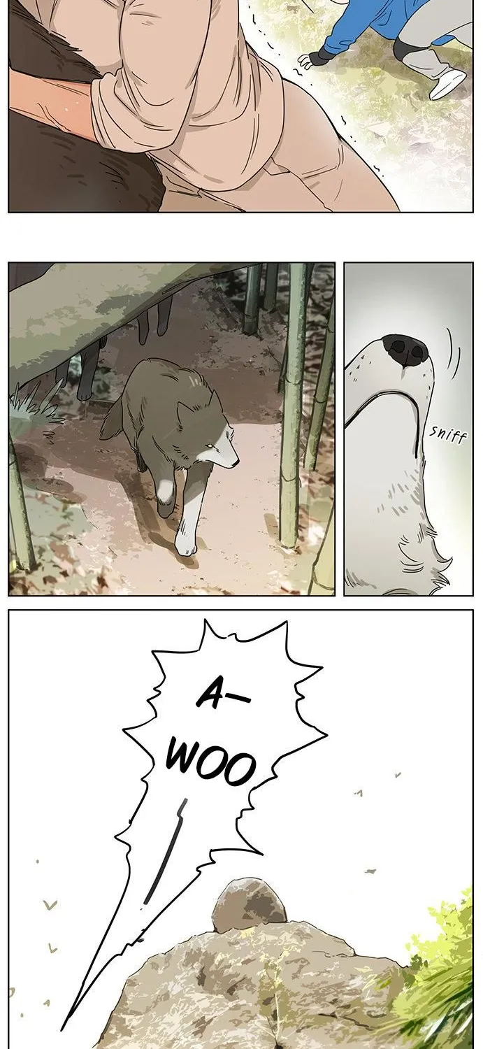 The Wolf That Picked Something Up Zinmanga X Chapter 75 Page 7