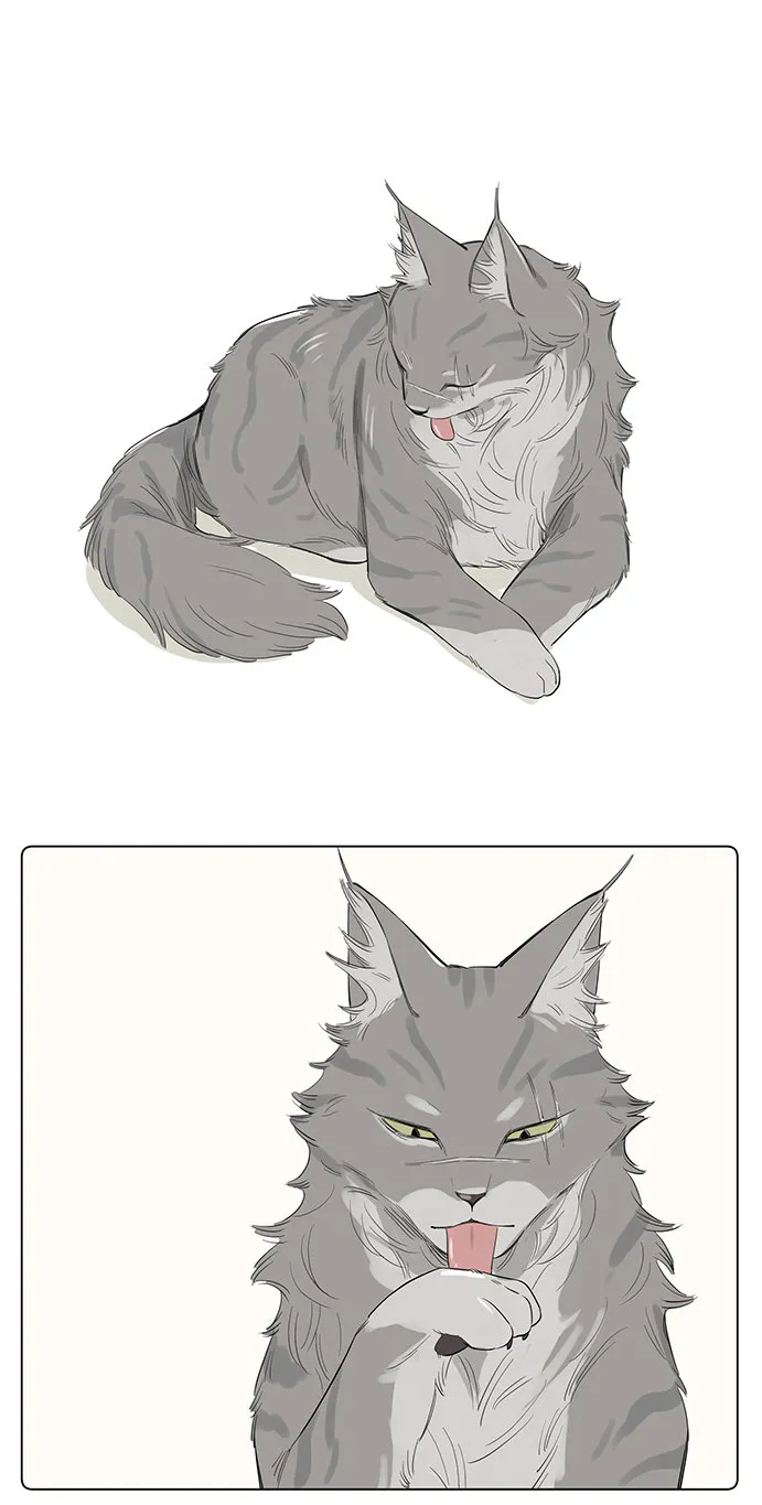 The Wolf That Picked Something Up Zinmanga X Chapter 34 Page 3
