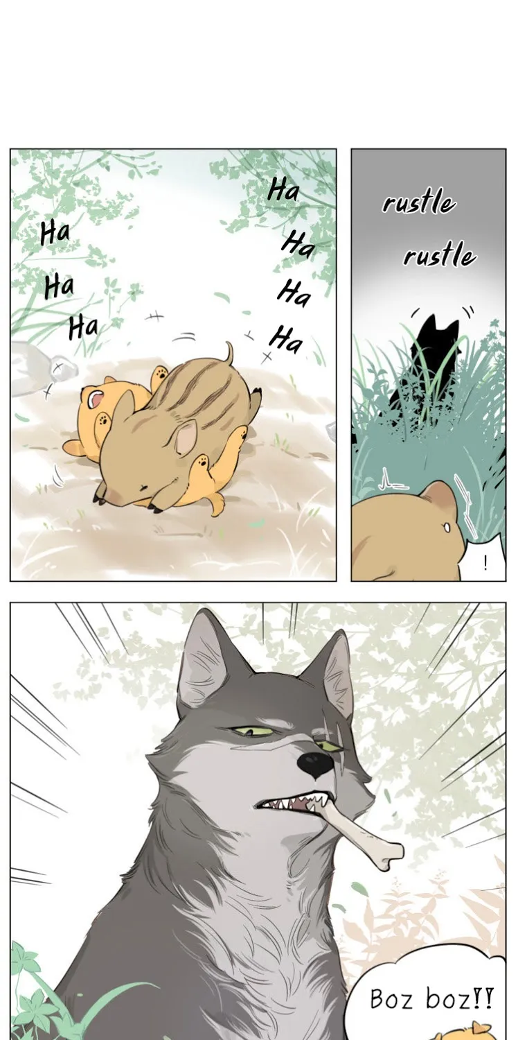 The Wolf That Picked Something Up Zinmanga X Chapter 11 Page 7