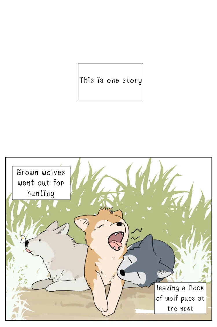The Wolf That Picked Something Up Zinmanga X Chapter 7 Page 1