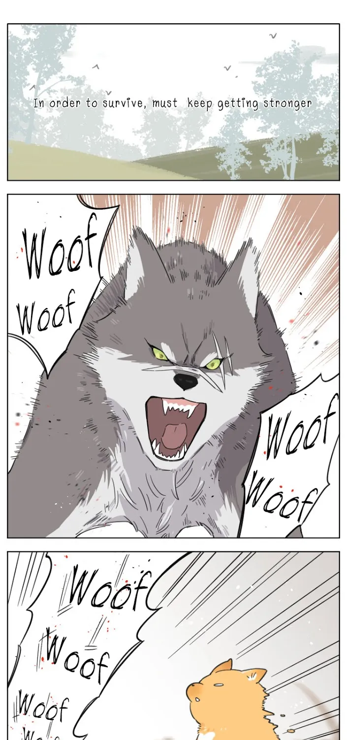 The Wolf That Picked Something Up Zinmanga X Chapter 6 Page 1
