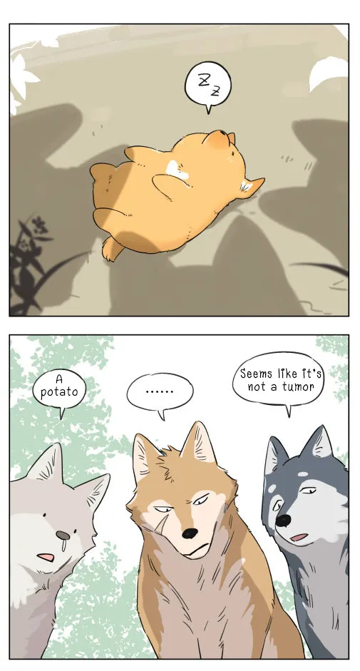 The Wolf That Picked Something Up Zinmanga X Chapter 4 Page 5