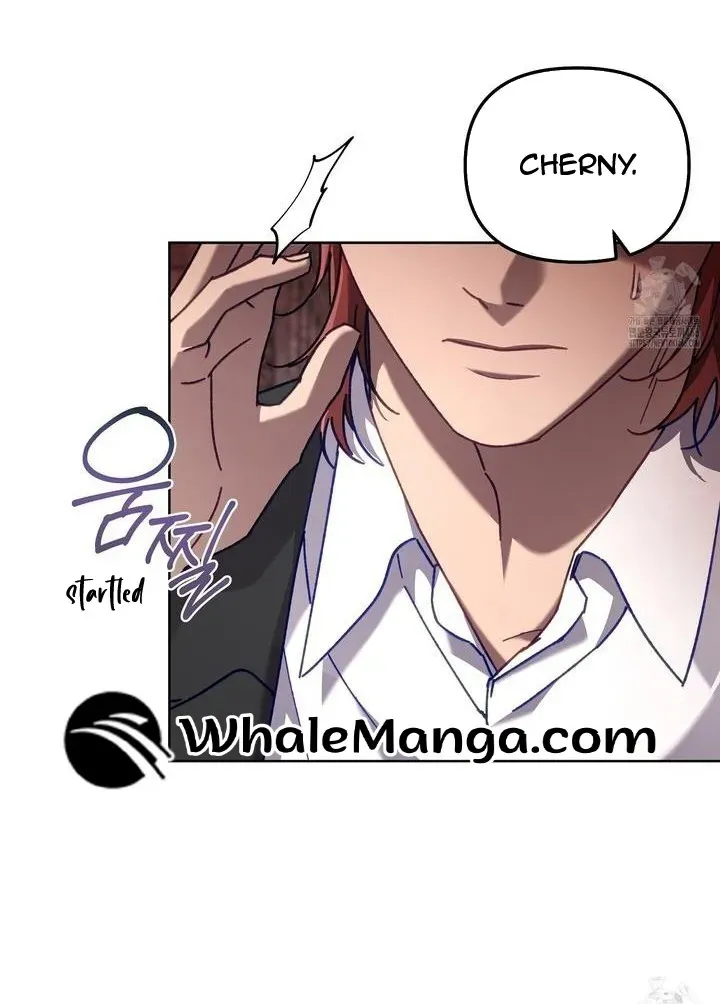 Honey Coated S Class Guide Zinmanga X Chapter 44 Page 28