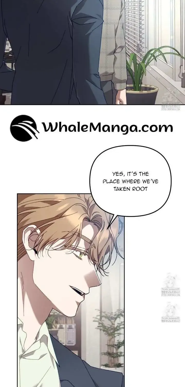 Honey Coated S Class Guide Zinmanga X Chapter 37 Page 2