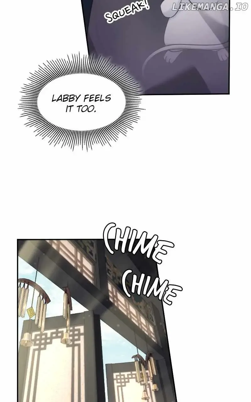 The Laws Of Cultivation Zinmanga X Chapter 8 Page 51