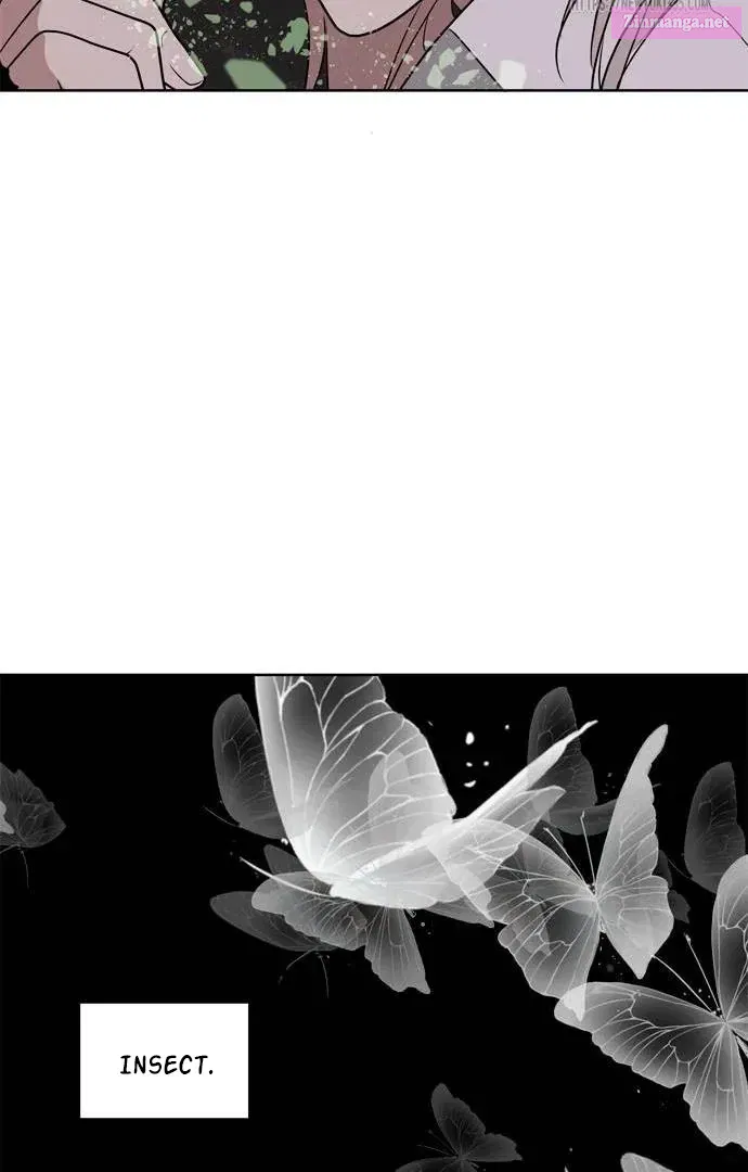When A Ghost Bird Sings Zinmanga X Chapter 3 Page 73