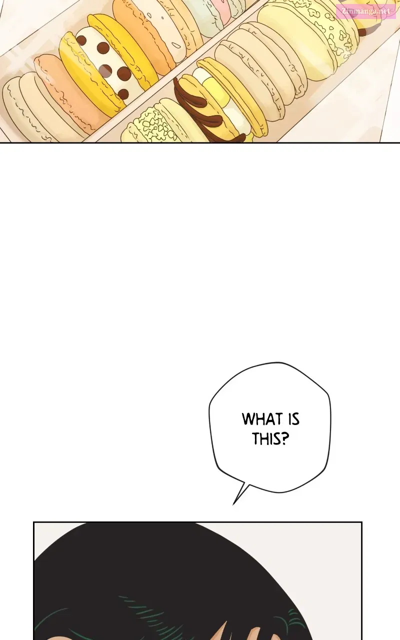 The World of Dating Zinmanga X Chapter 60 Page 45