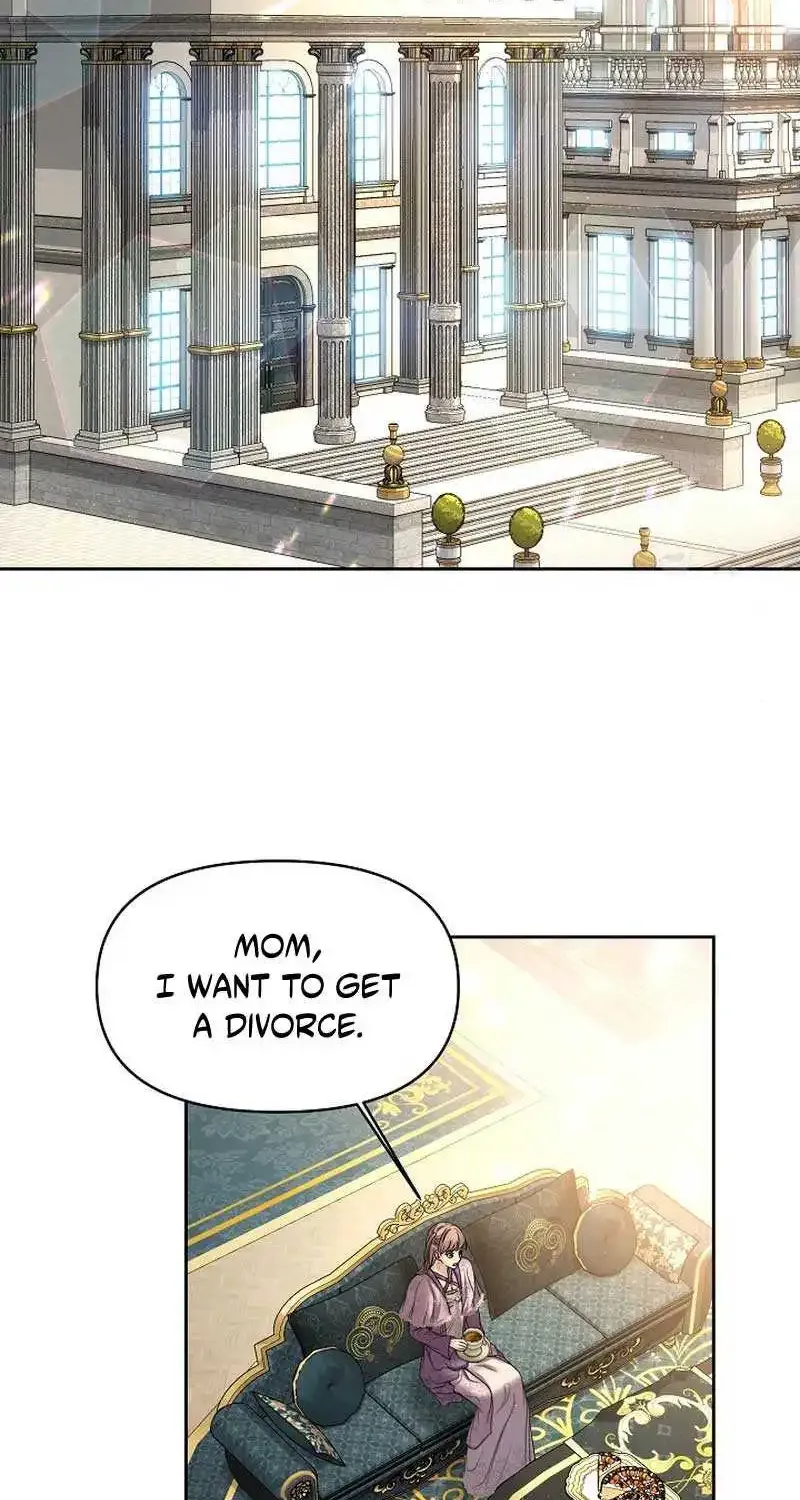 Divorce Is The Condition Zinmanga X Chapter 14 Page 47