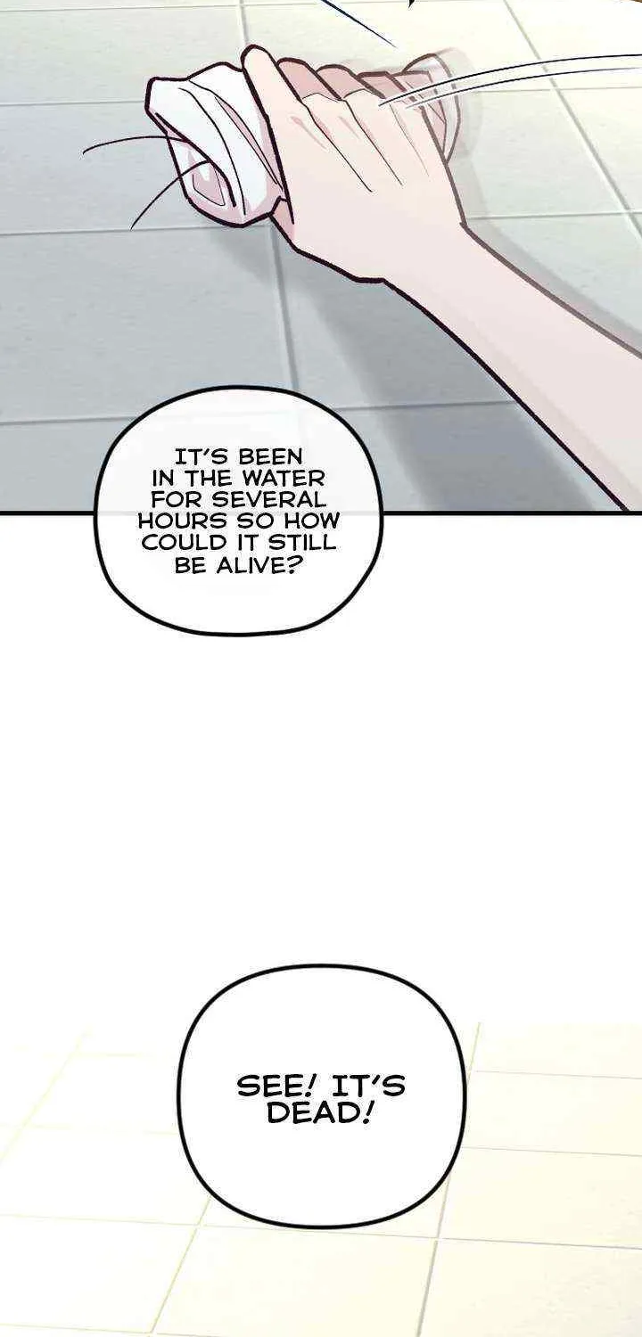 Meet In The Middle Zinmanga X Chapter 48 Page 21