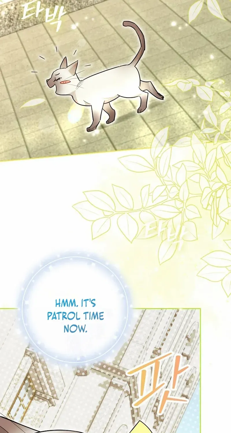 Even Though I Transmigrated as a Villainess, I’d Rather Raise a Cat Zinmanga X Chapter 40 Page 3