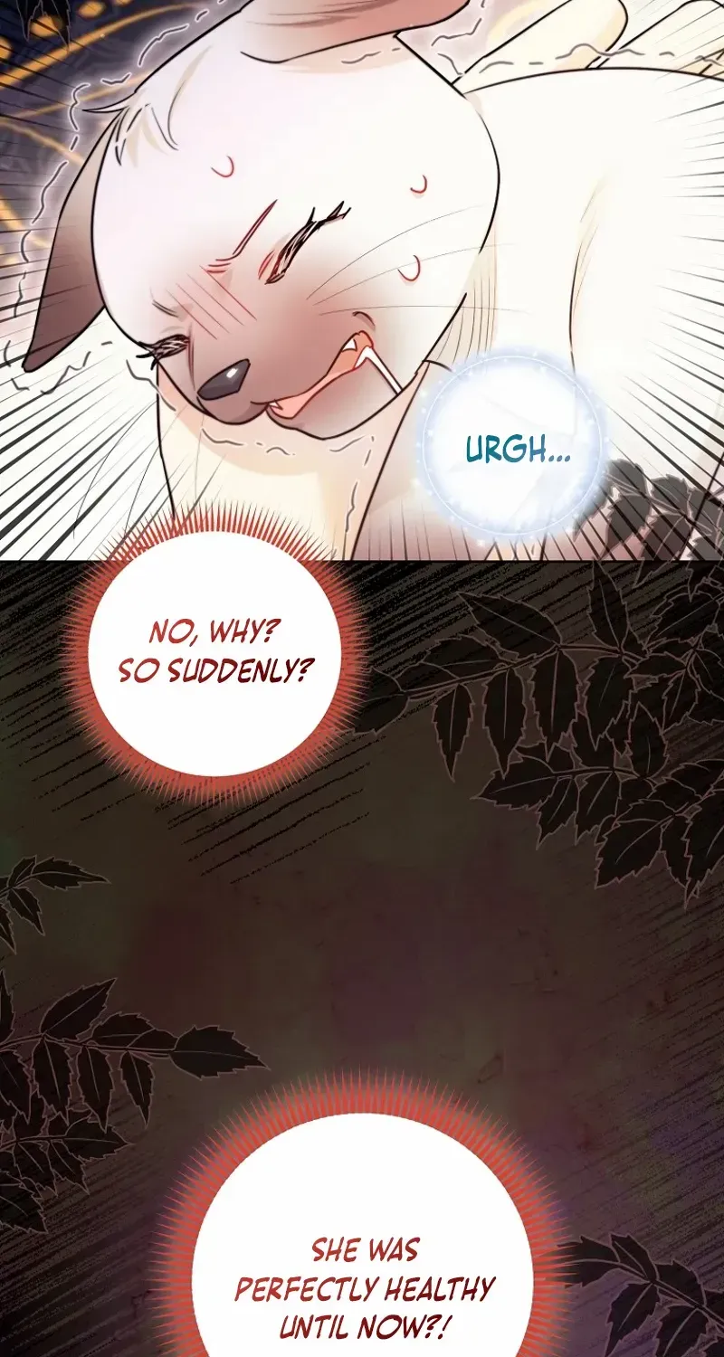 Even Though I Transmigrated as a Villainess, I’d Rather Raise a Cat Zinmanga X Chapter 40 Page 35