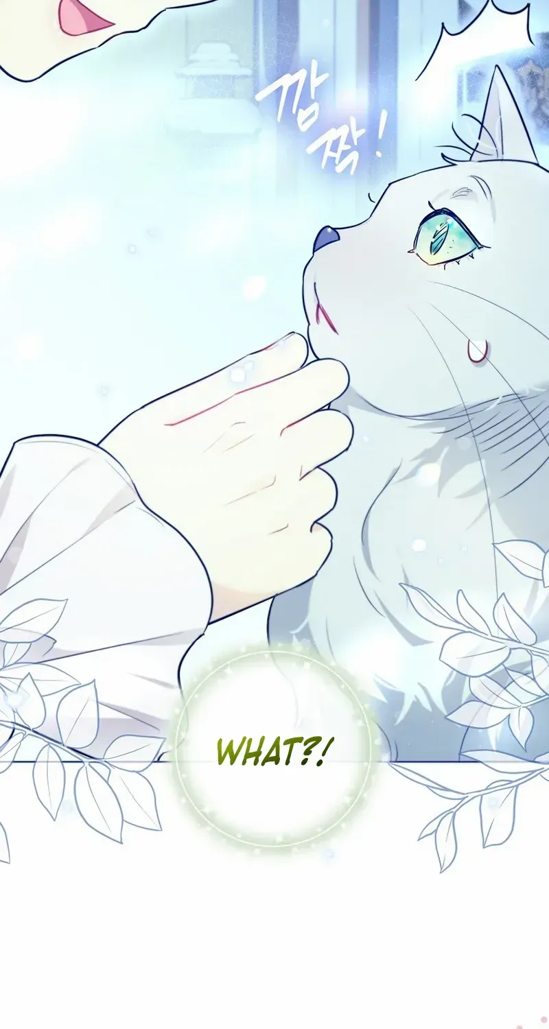 Even Though I Transmigrated as a Villainess, I’d Rather Raise a Cat Zinmanga X Chapter 35 Page 7