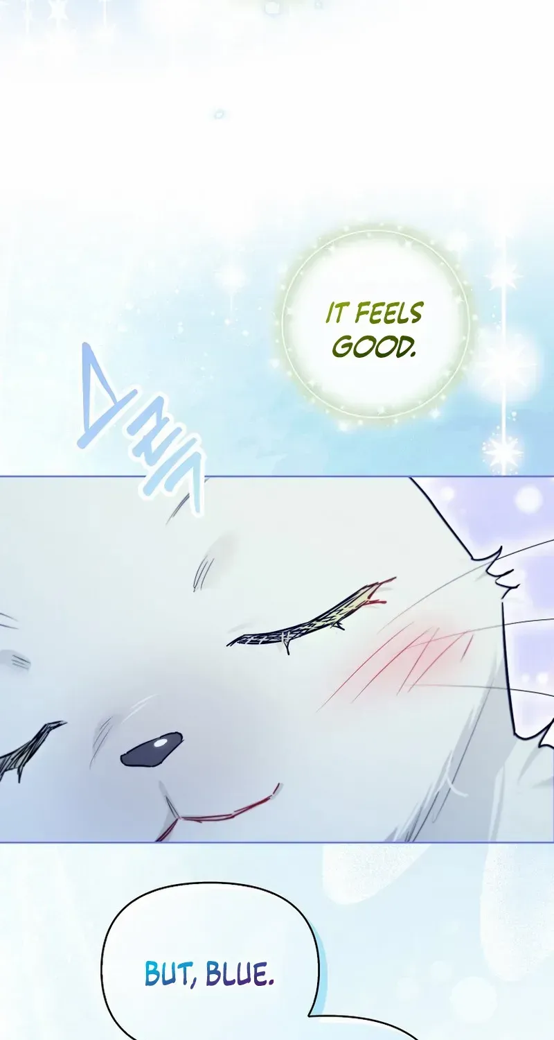Even Though I Transmigrated as a Villainess, I’d Rather Raise a Cat Zinmanga X Chapter 35 Page 16