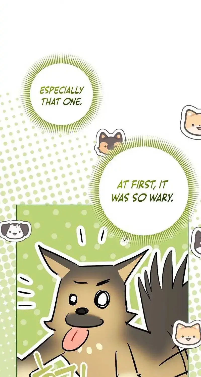 Even Though I Transmigrated as a Villainess, I’d Rather Raise a Cat Zinmanga X Chapter 33 Page 71
