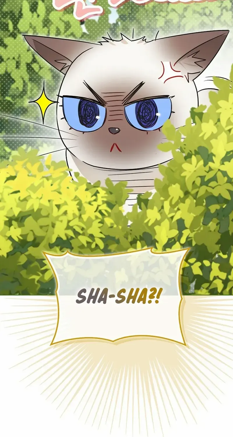 Even Though I Transmigrated as a Villainess, I’d Rather Raise a Cat Zinmanga X Chapter 31 Page 55