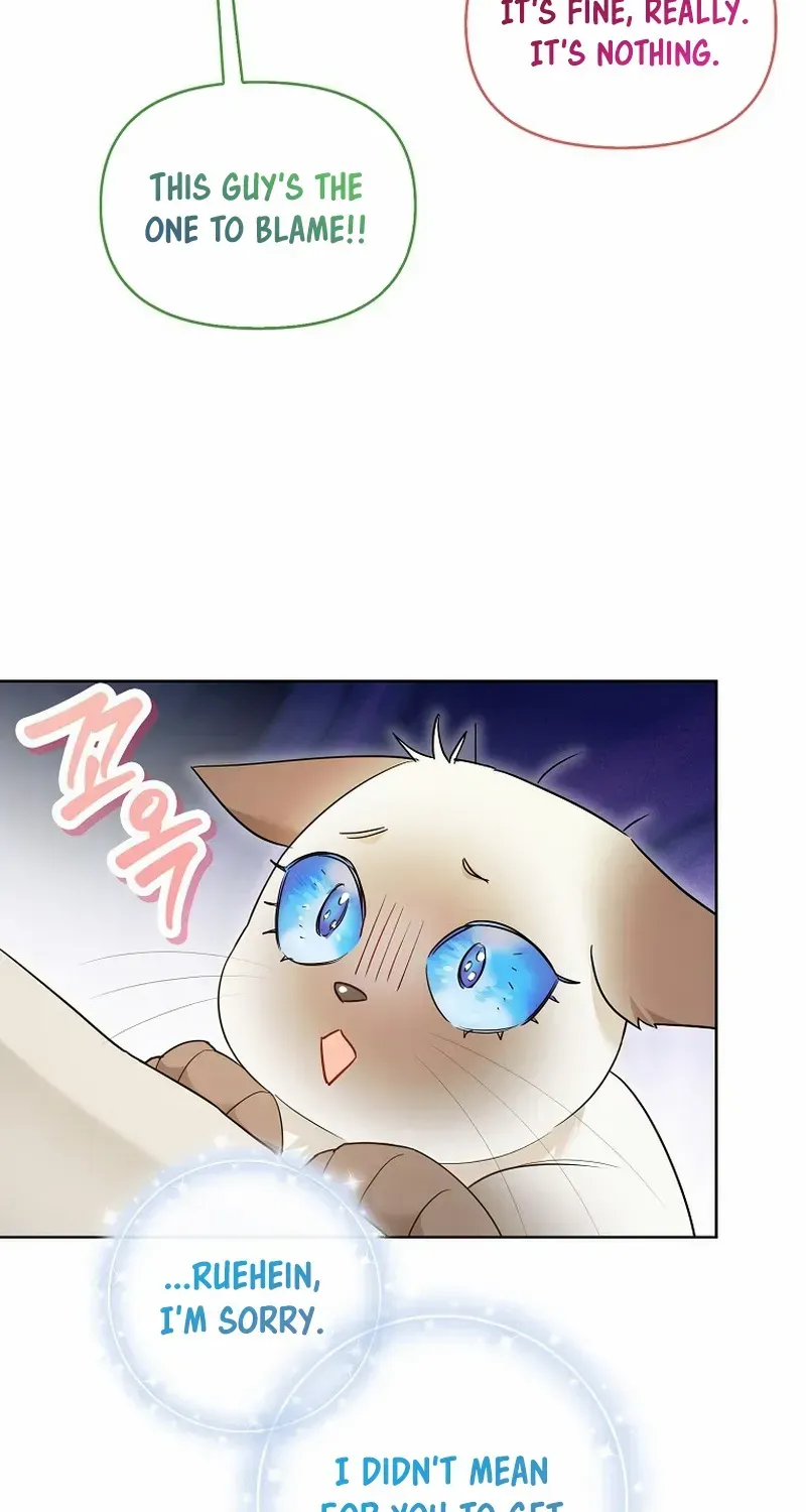Even Though I Transmigrated as a Villainess, I’d Rather Raise a Cat Zinmanga X Chapter 31 Page 68