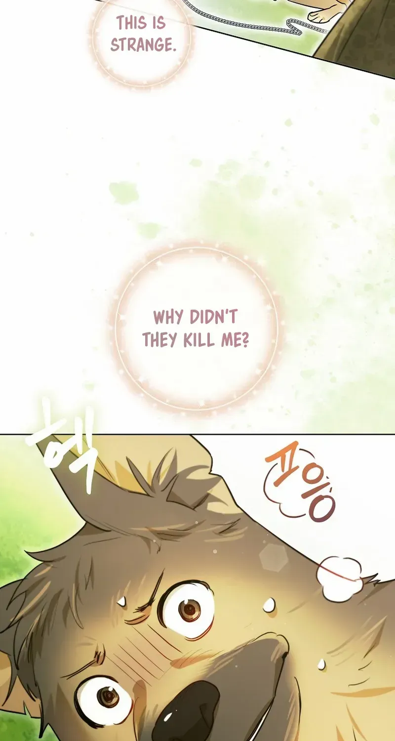 Even Though I Transmigrated as a Villainess, I’d Rather Raise a Cat Zinmanga X Chapter 31 Page 82