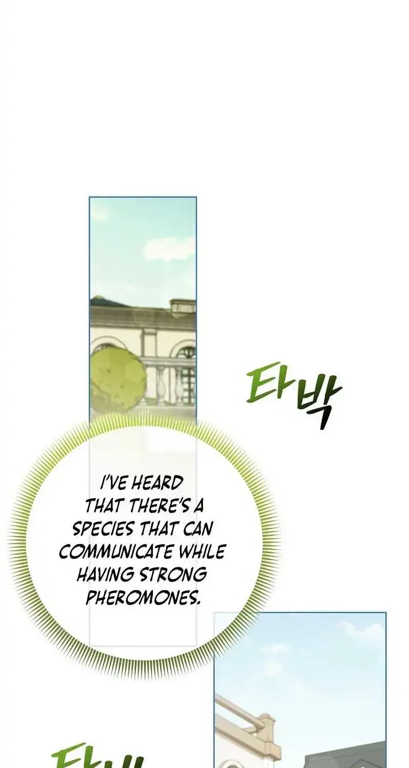 Even Though I Transmigrated as a Villainess, I’d Rather Raise a Cat Zinmanga X Chapter 29 Page 79
