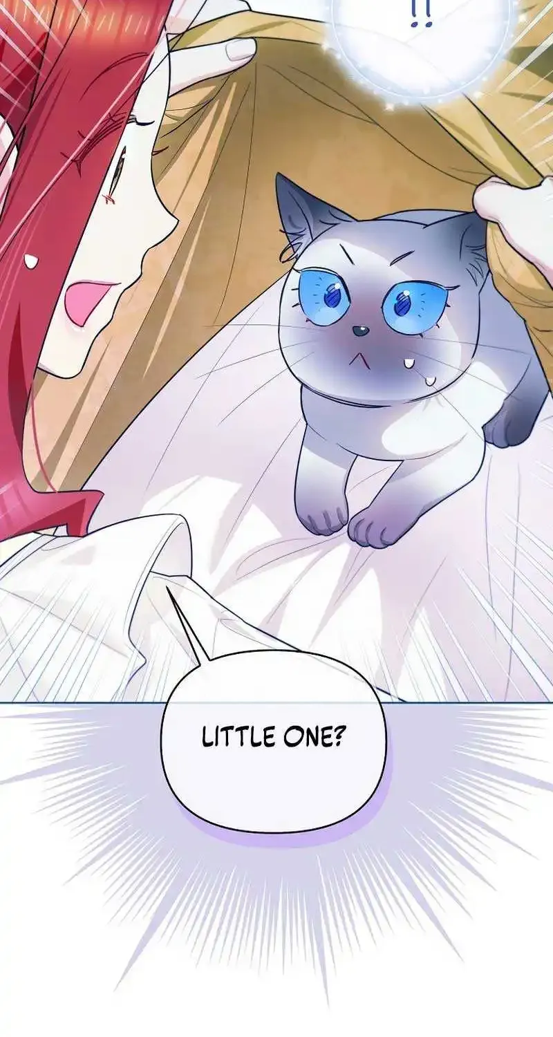 Even Though I Transmigrated as a Villainess, I’d Rather Raise a Cat Zinmanga X Chapter 23 Page 62