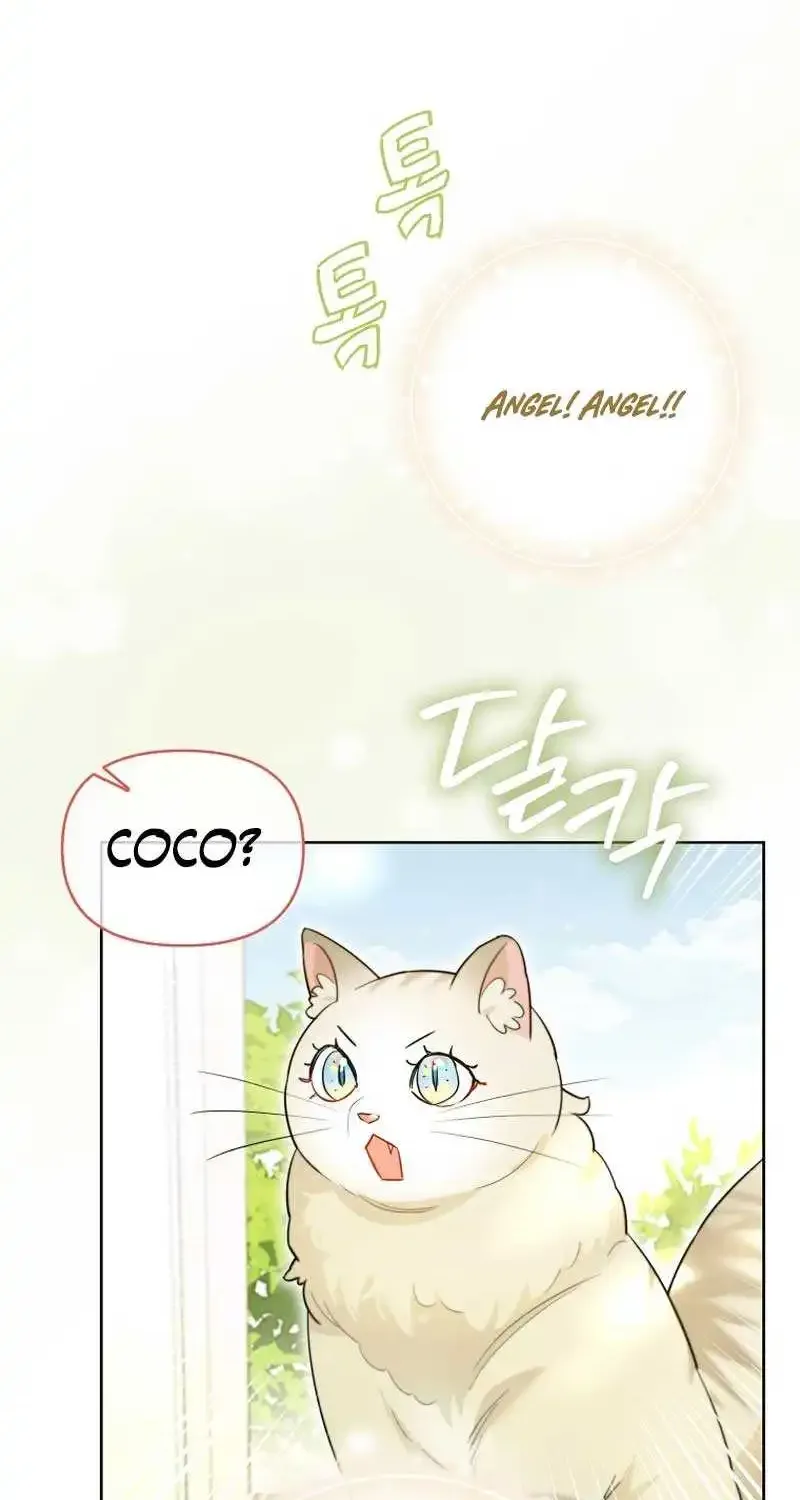 Even Though I Transmigrated as a Villainess, I’d Rather Raise a Cat Zinmanga X Chapter 18 Page 34