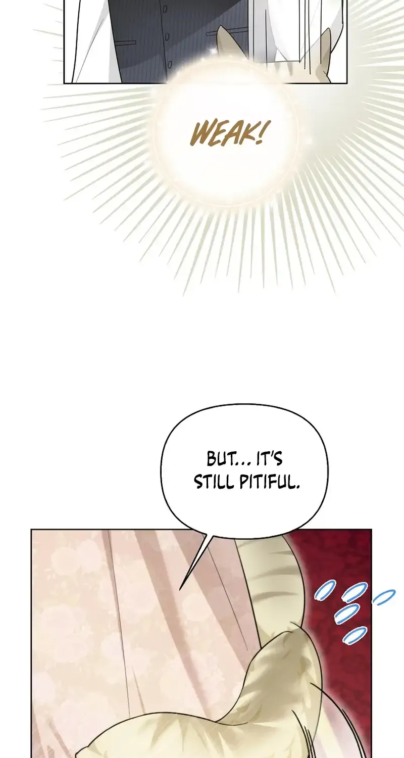 Even Though I Transmigrated as a Villainess, I’d Rather Raise a Cat Zinmanga X Chapter 15 Page 18