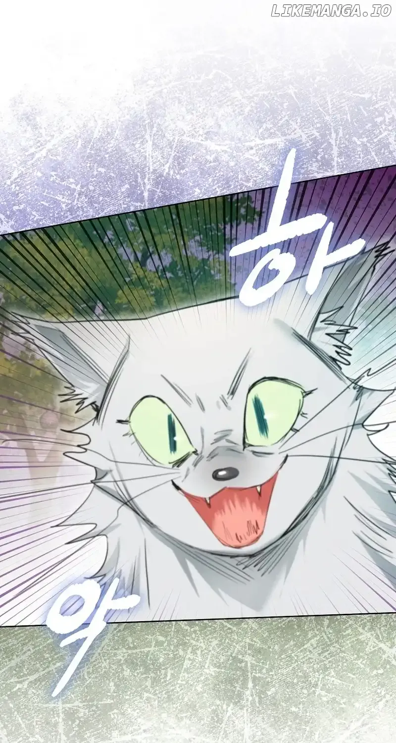 Even Though I Transmigrated as a Villainess, I’d Rather Raise a Cat Zinmanga X Chapter 14 Page 2