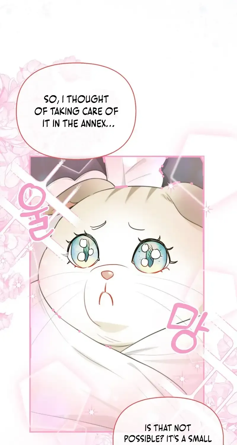 Even Though I Transmigrated as a Villainess, I’d Rather Raise a Cat Zinmanga X Chapter 14 Page 26