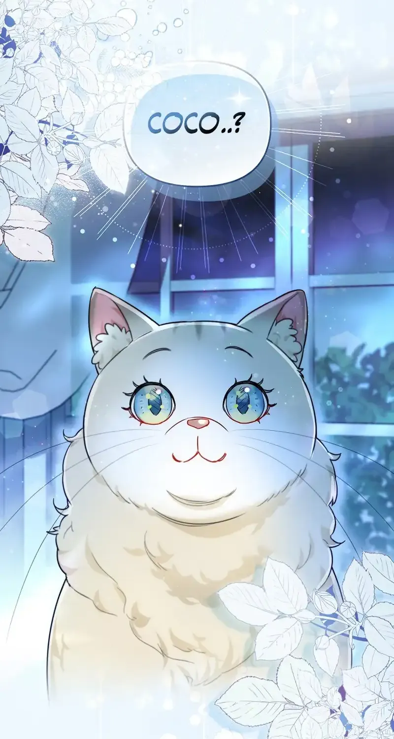 Even Though I Transmigrated as a Villainess, I’d Rather Raise a Cat Zinmanga X Chapter 14 Page 44