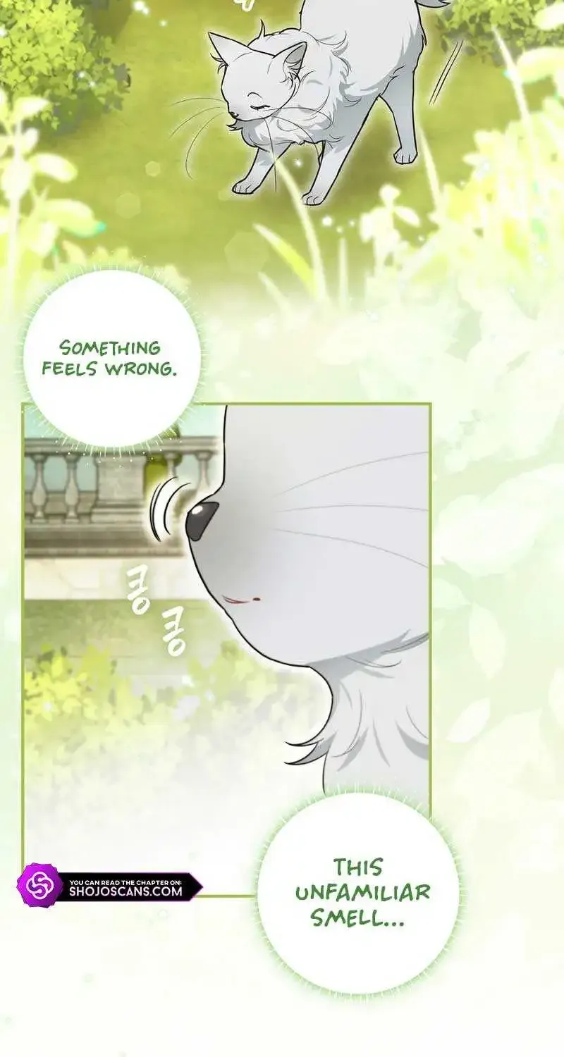 Even Though I Transmigrated as a Villainess, I’d Rather Raise a Cat Zinmanga X Chapter 13 Page 80