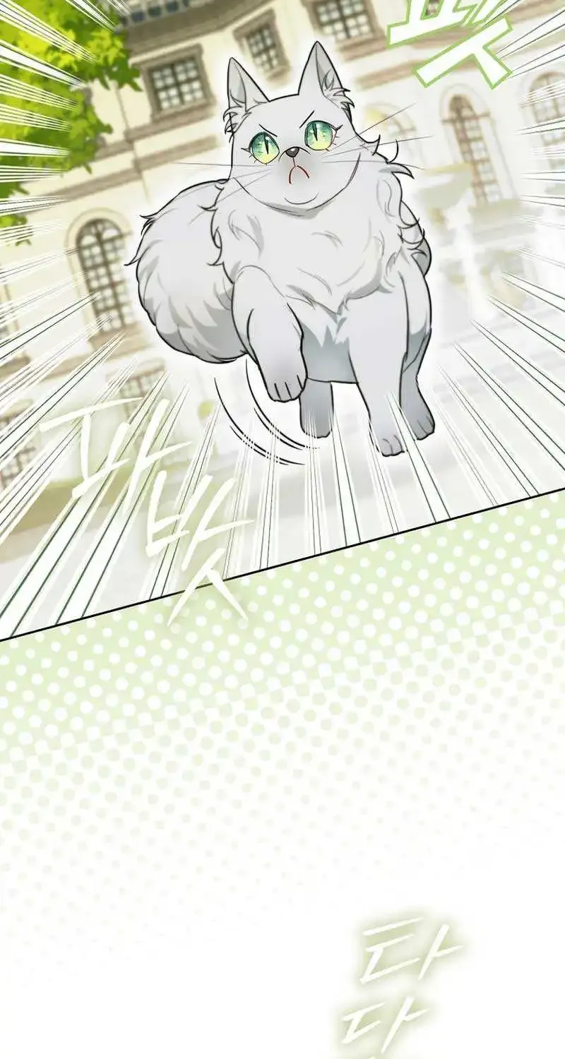 Even Though I Transmigrated as a Villainess, I’d Rather Raise a Cat Zinmanga X Chapter 13 Page 82