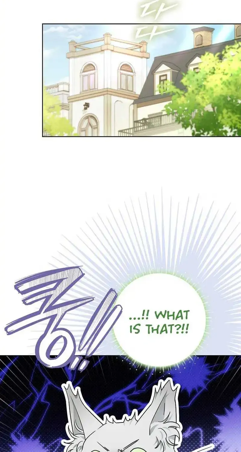 Even Though I Transmigrated as a Villainess, I’d Rather Raise a Cat Zinmanga X Chapter 13 Page 83