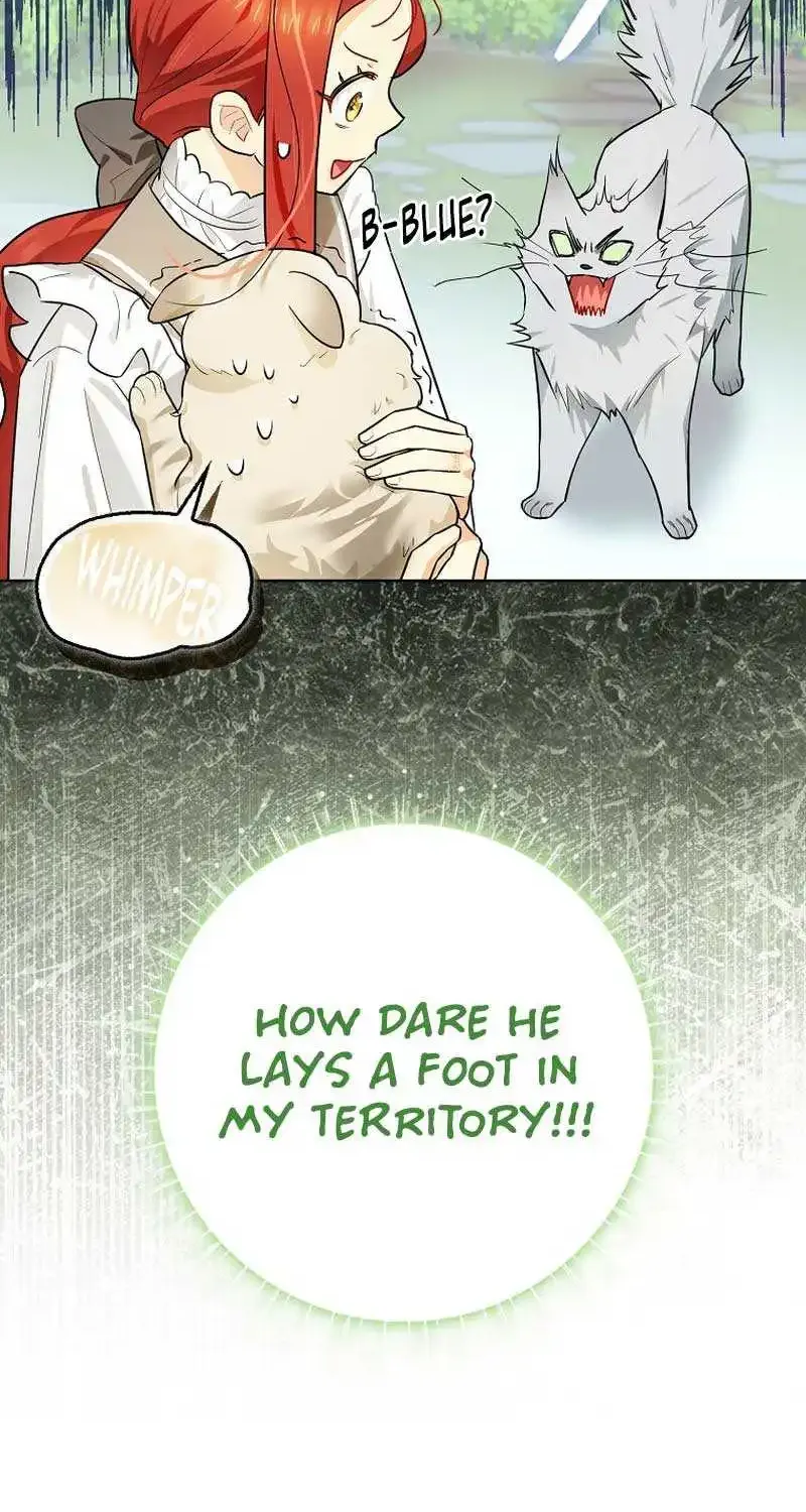 Even Though I Transmigrated as a Villainess, I’d Rather Raise a Cat Zinmanga X Chapter 13 Page 93