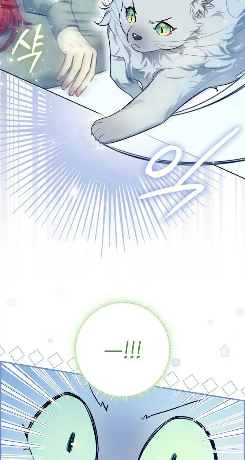 Even Though I Transmigrated as a Villainess, I’d Rather Raise a Cat Zinmanga X Chapter 12 Page 4