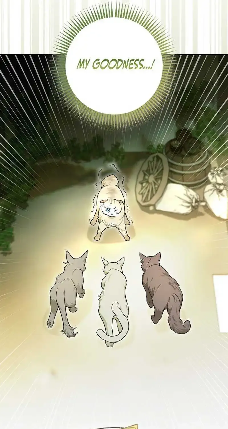 Even Though I Transmigrated as a Villainess, I’d Rather Raise a Cat Zinmanga X Chapter 12 Page 36