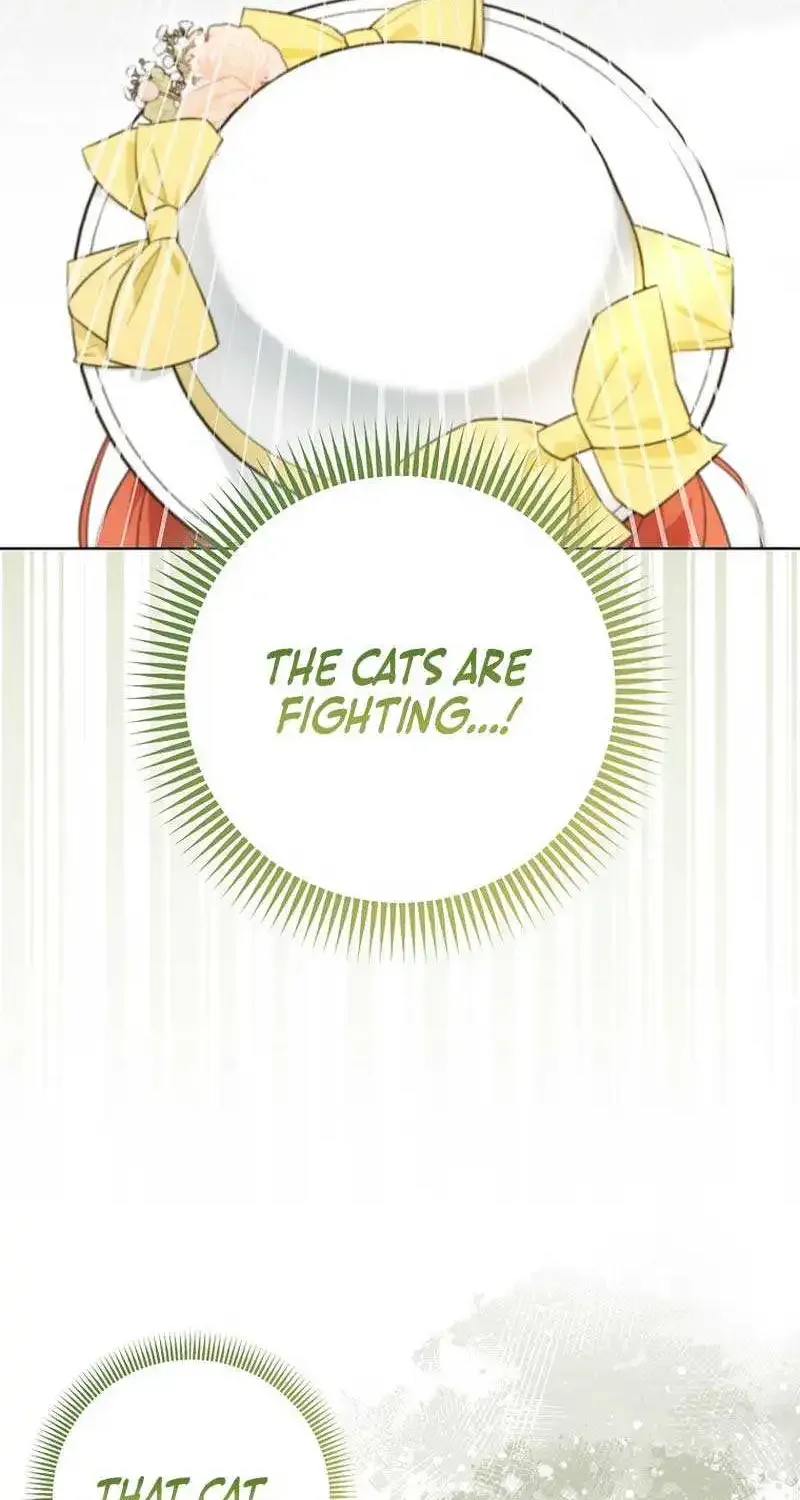 Even Though I Transmigrated as a Villainess, I’d Rather Raise a Cat Zinmanga X Chapter 12 Page 37