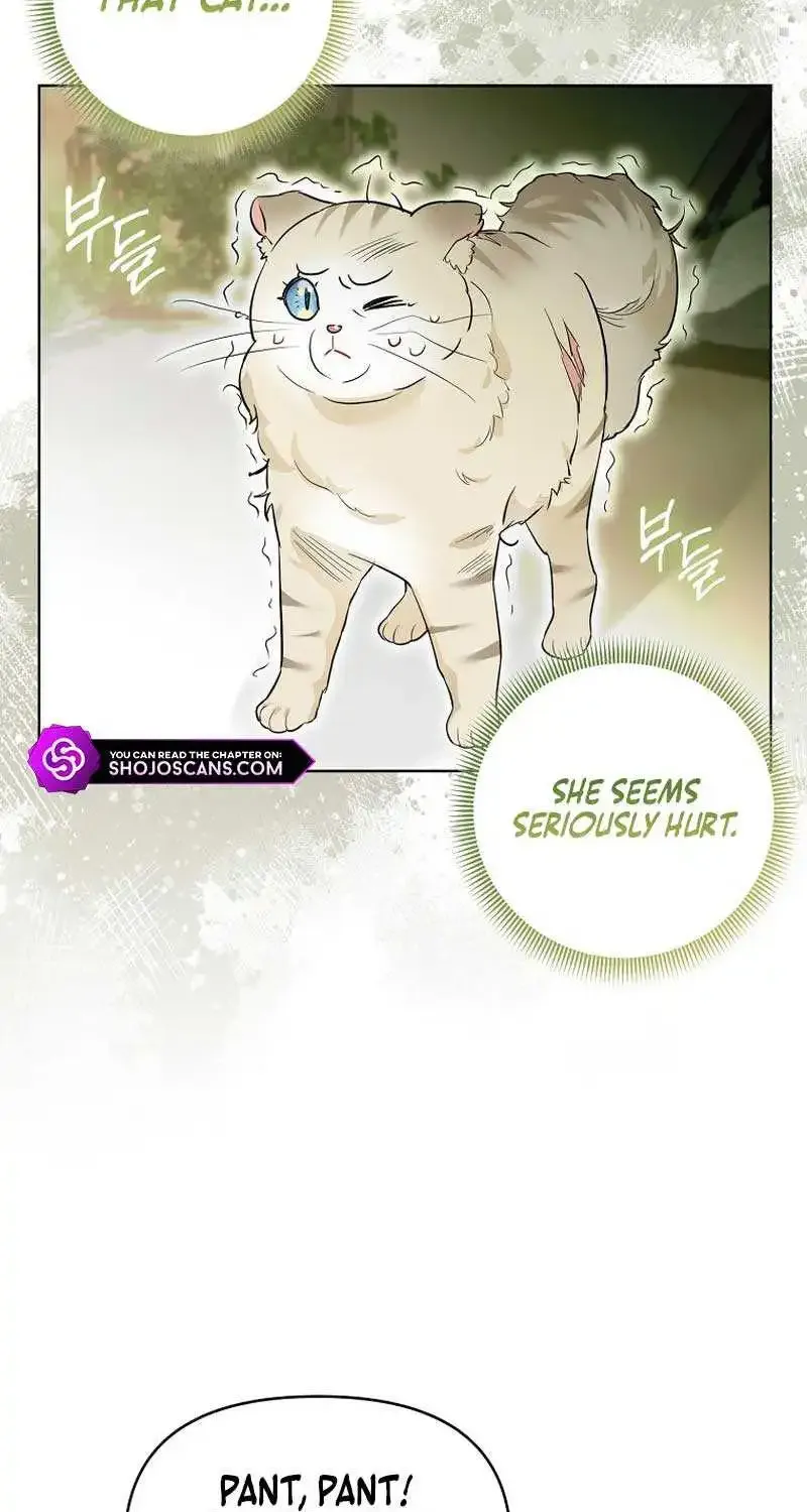 Even Though I Transmigrated as a Villainess, I’d Rather Raise a Cat Zinmanga X Chapter 12 Page 38