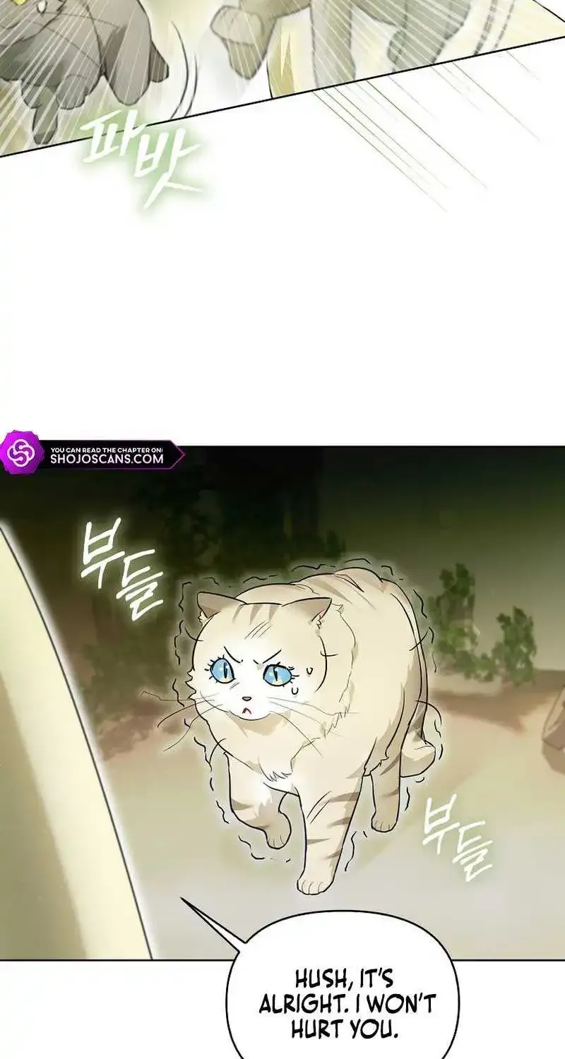 Even Though I Transmigrated as a Villainess, I’d Rather Raise a Cat Zinmanga X Chapter 12 Page 47